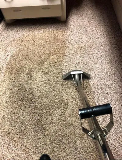 Carpet Cleaning in Atascocita, TX